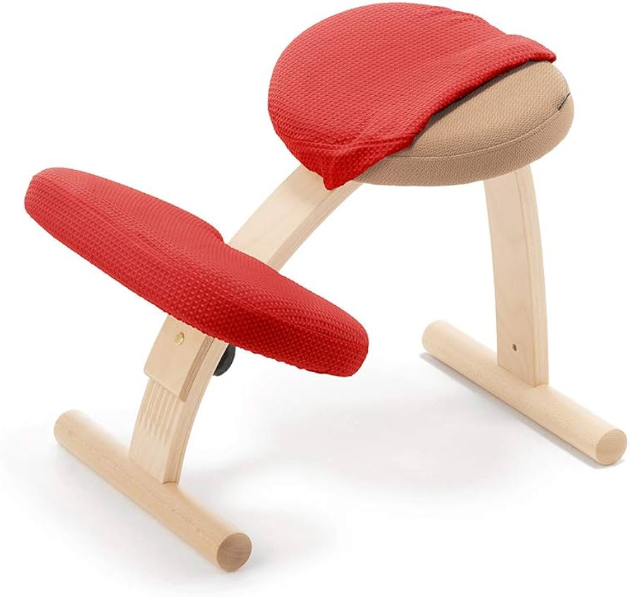 バランスイージー ピンク sakamoto house バランスチェア 良品