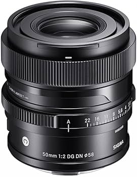 Amazon.com : Sigma 28-70mm F2.8 DG DN for L-Mount : Electronics