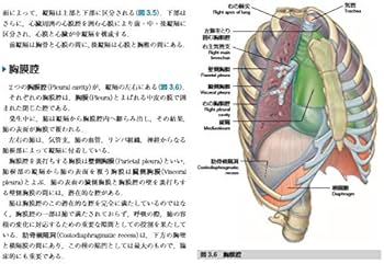 51LbviqI9mL._AC_UF350,