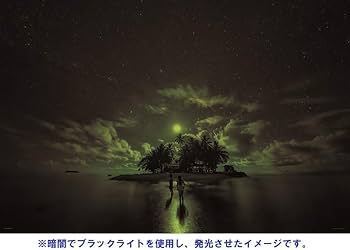 Amazon.co.jp: 1000ピース ジグソーパズル KAGAYA 南の島の月夜(JEEP島