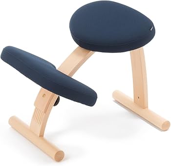 Amazon.co.jp: バランスラボ バランスイージー 通常フレーム 通常箱