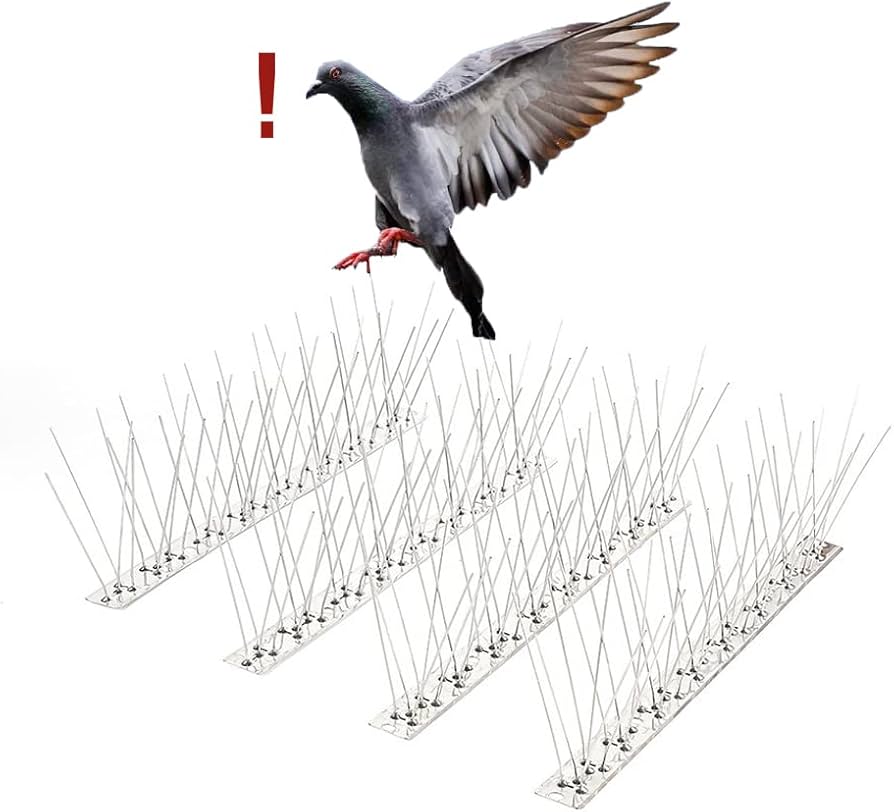 Amazon.co.jp: AOKKR 鳥よけ 鳩よけグッズ 100%ステンレスピン 長さ3.3