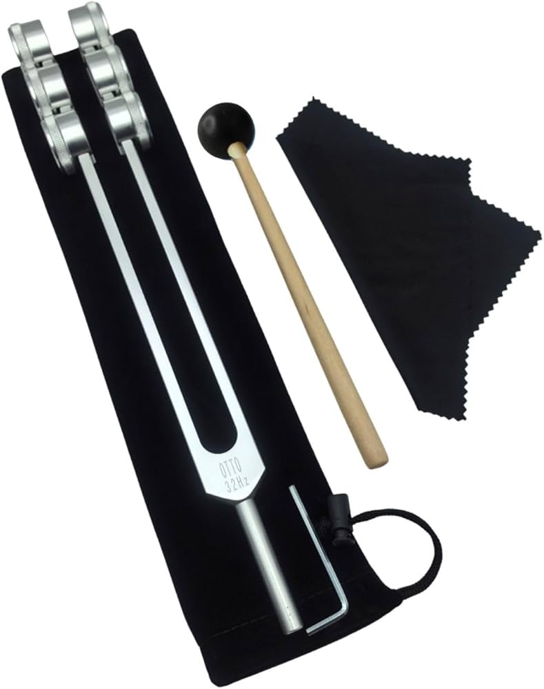 Amazon | オットーチューナー 内蔵マッサージ 腎臓 膀胱 肝臓 ホルモン