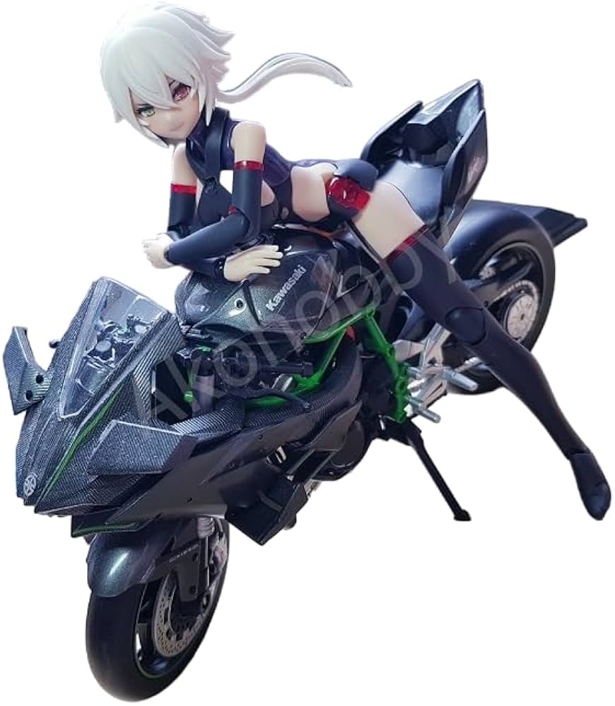 Amazon.co.jp: [完成品] 1/12 バイク カワサキ ニンジャ 朱羅 弓兵 絆