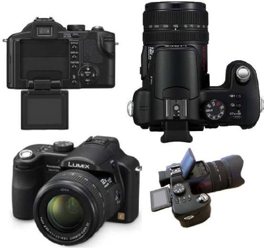 Amazon.com : Panasonic DMC-FZ50 10.1MP Digital Camera with 12x