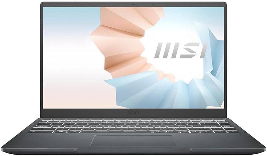 Amazon.com: msi Modern 14 Professional Laptop: 14