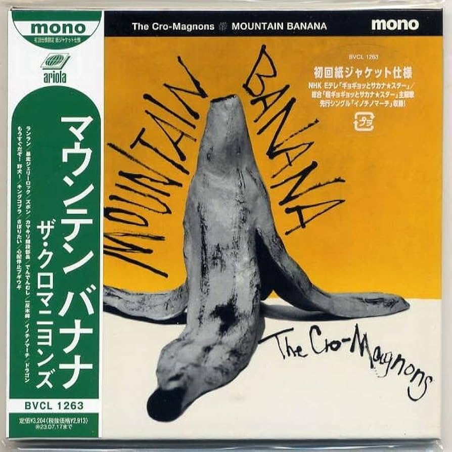ザ・クロマニヨンズ MOUNTAIN BANANA ジャケット Mサイズ ｻﾞ・ｸﾛﾏﾆﾖﾝｽﾞ