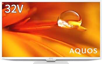 51lUMdAiPjL._AC_UF350,