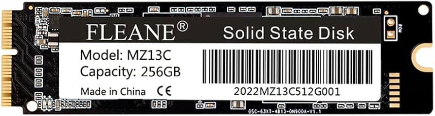 Amazon.com: FLEANE MZ13C 256GB SSD Replacement for MacBook Pro