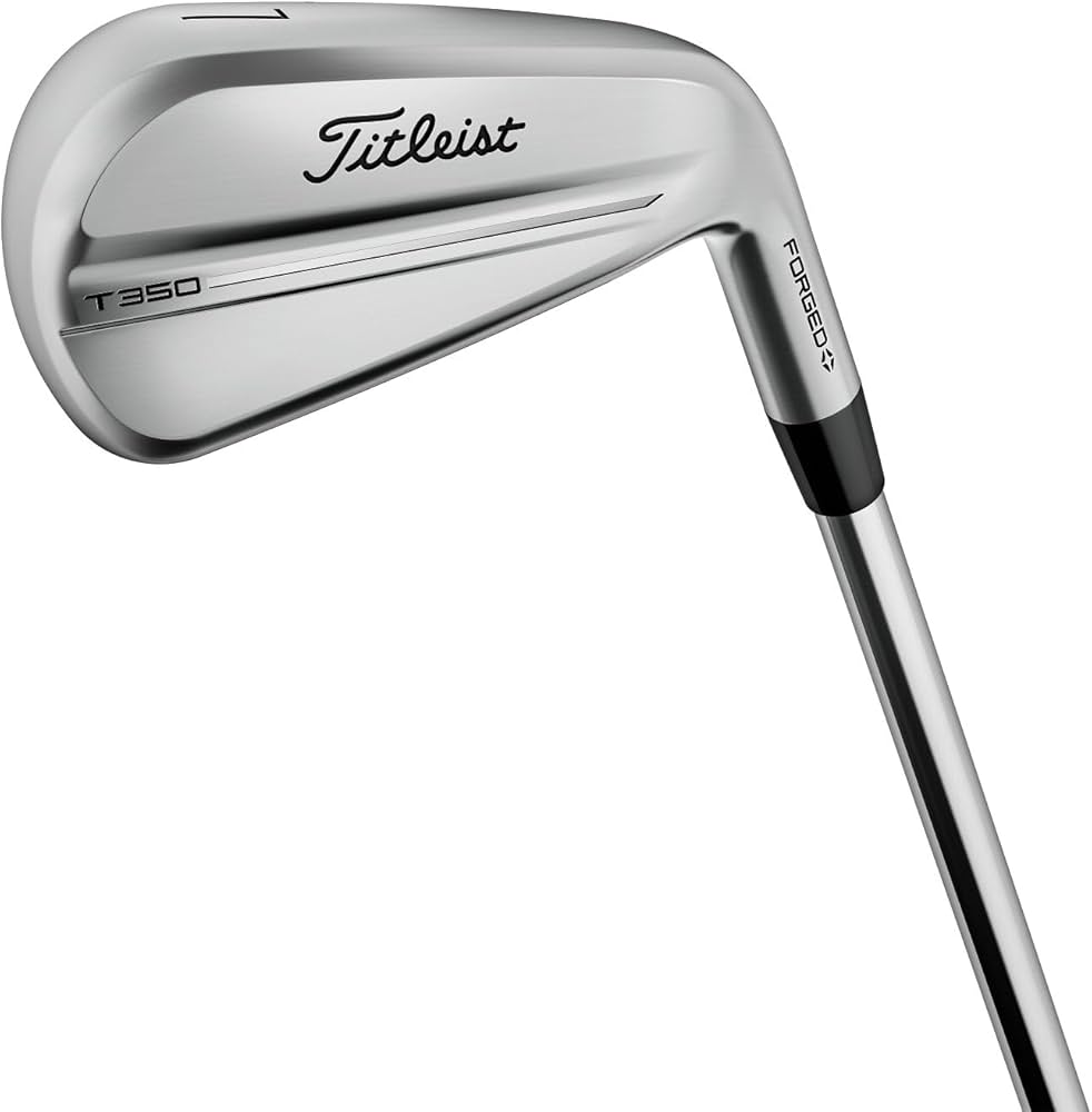 Amazon.co.jp: タイトリストアイアン 25 T350 4G RH NS880AMC S 6-W48