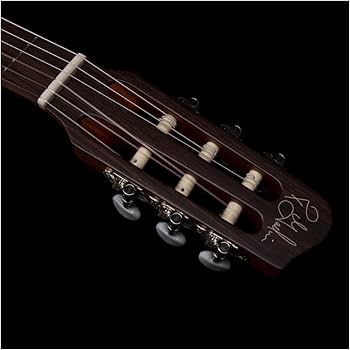 Amazon | GODIN (ゴダン) ナイロンギター エレガットギター Multiac