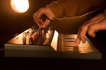 Amazon.co.jp: ARTURIA ハイブリッド・シンセサイザー MicroFreak