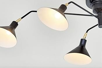 Amazon.co.jp : インターフォルム シーリングライト LT-9520BK ロネ