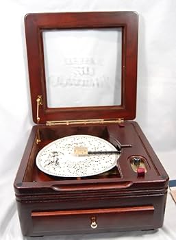 51o2NW9Ww5L._AC_UF350,