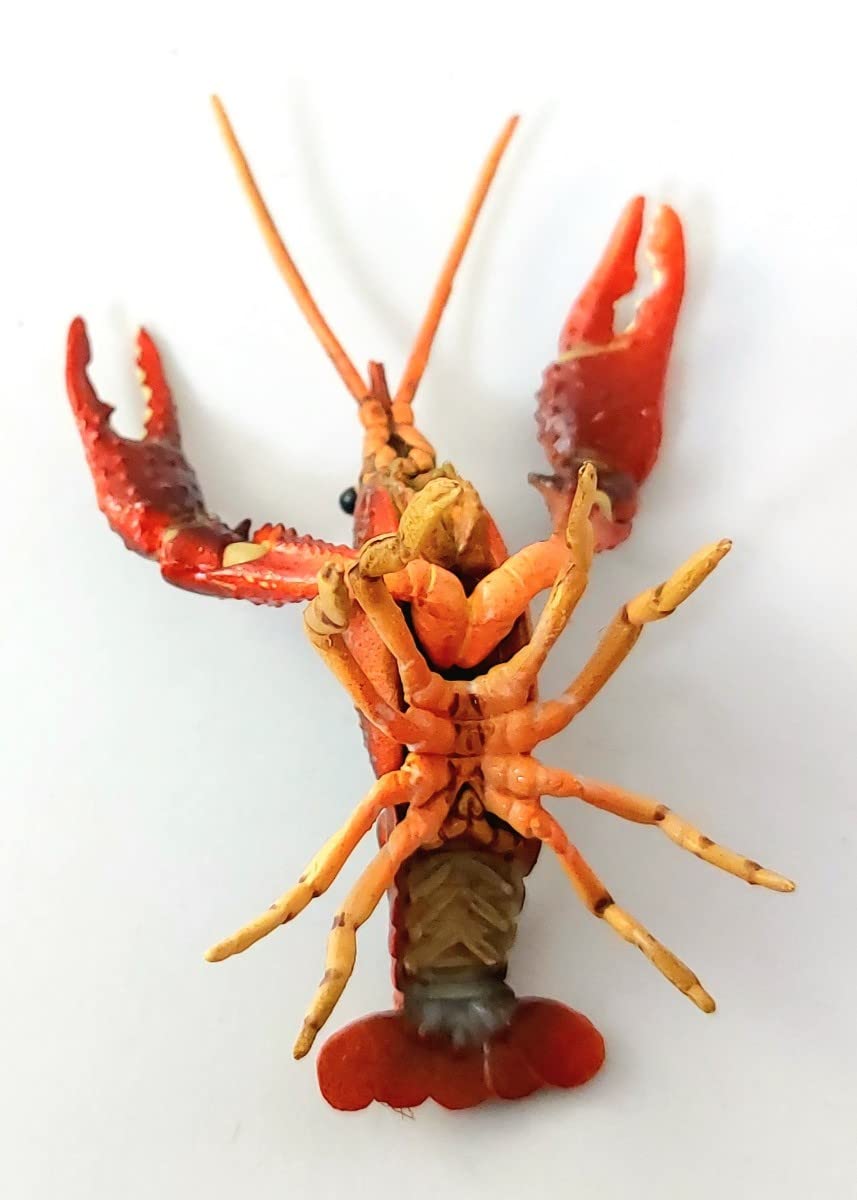 Amazon | ～☆希少!リアル精密!ユージン 原色甲殻類エビ・カニ図鑑I