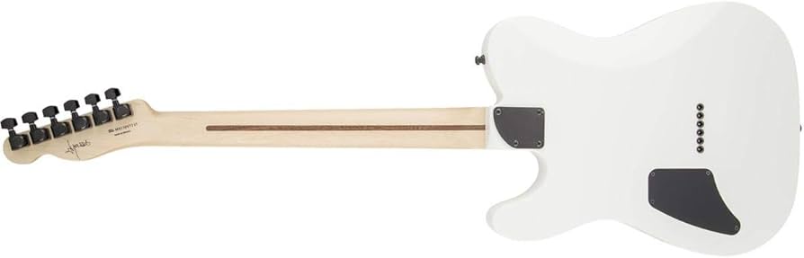 Amazon.com: Artist 134444780 Jim Root Telecaster Electric Guitar