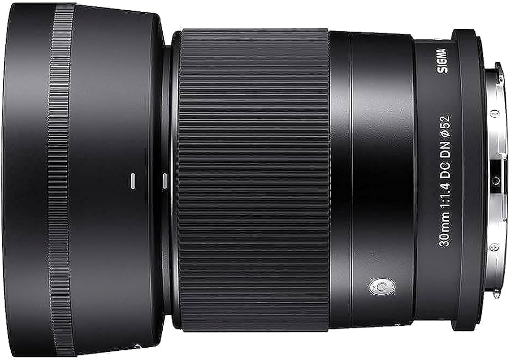 Amazon.co.jp: シグマ(Sigma) レンズ 30mm F1.4 DC DN Sony ソニー E