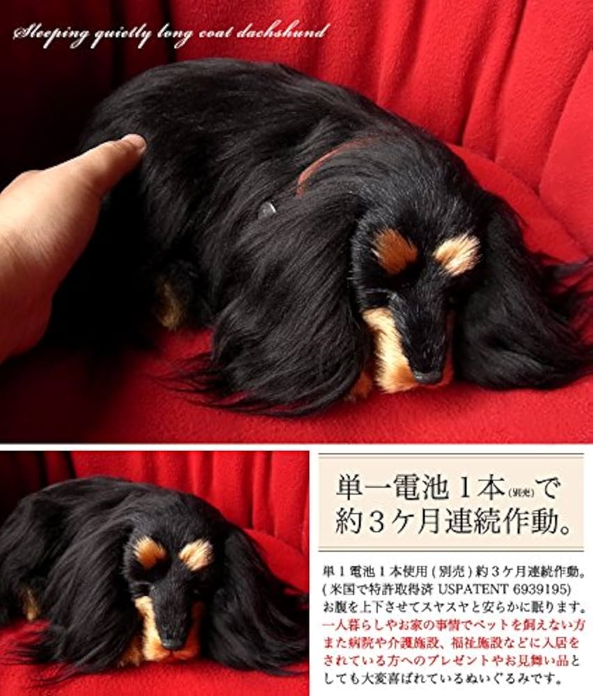 Amazon.co.jp: ニニアンドキノ パーフェクトペット (小サイズ