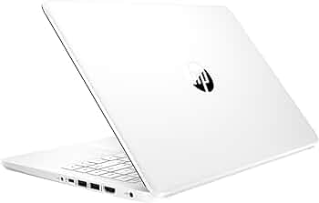 51qhN7a-AgL._AC_UF350,