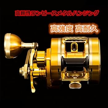 Amazon | リョービ(RYOBI) バリウス リール GR30 (左ハンドルor右