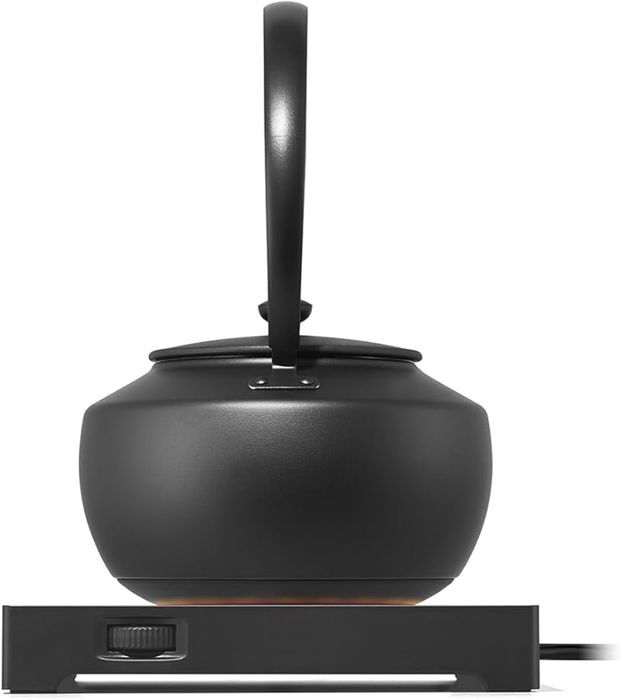 Amazon.com: BALMUDA MoonKettle | Electric Kettle with Temp Control