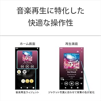 Amazon.co.jp: Sony NW-A306 Walkman 32GB A300 Series NW-A306