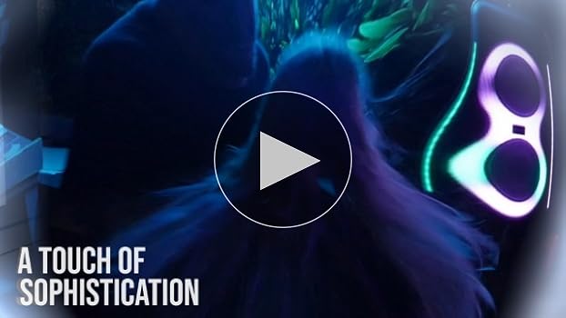 Amazon.com: Gemini UltraRave Duo 400W Bluetooth Party Speaker with