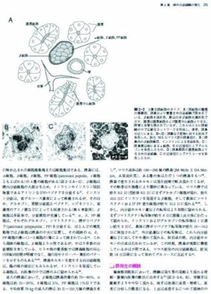 ジョスリン糖尿病学 第2版 | 金澤 康徳, 春日 雅人, 柏木 厚典, 門脇