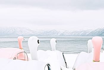 and after 写真集 | 武井宏員 |本 | 通販 | Amazon