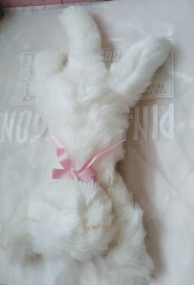 Amazon.co.jp: オオイケOIKEペルシャ猫ぬいぐるみネコねこヌイグルミ白