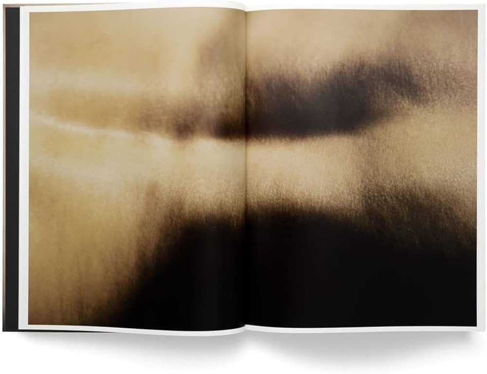 Amazon | David Lynch: Digital Nudes | Lynch, David, Couton, Pierre