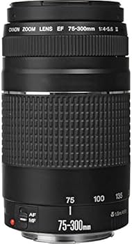 Canon EF 75-300mm f/4-5.6 III Lens for Canon EOS Rebel SL1, 100D