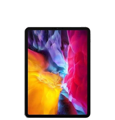 Amazon.com : Apple 2020 iPad Pro (11-inch) Wi-Fi, 128GB - Space