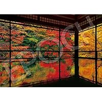 Amazon | エポック社 500ピース ジグソーパズル 日本風景 瑠璃光院の