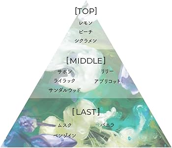 Amazon.co.jp: Aiam Perfume Chapter Chapter 9 Floral Musk (50mL