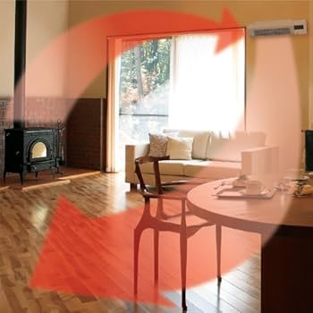 51d6JzoTGAL._AC_UF350,