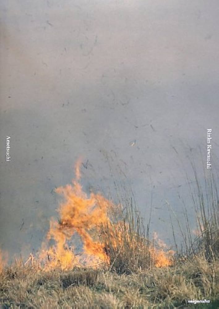 あめつち | 川内倫子 |本 | 通販 | Amazon