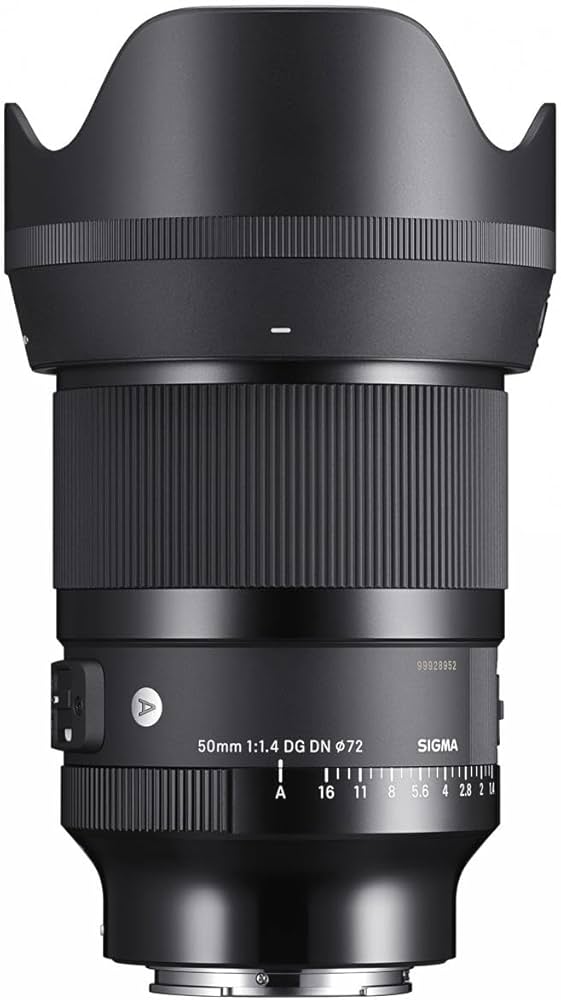 Amazon.com : 50mm F1.4 DG DN for Sony E : Electronics