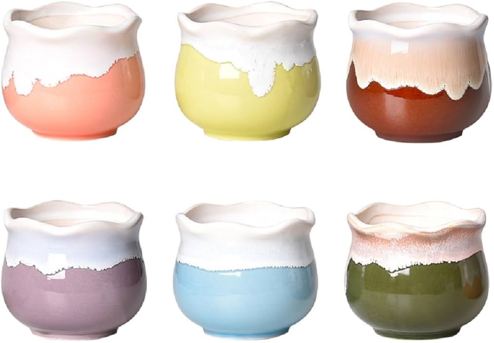 Amazon.co.jp: koundeneko 多肉植物鉢 6個セット 陶器製 2号鉢 小型