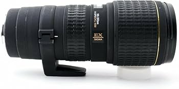 Amazon.co.jp: シグマ 100-300mm F4 APO EX DG HSM キヤノン用 : 家電