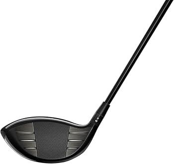 Amazon.co.jp: タイトリスト(TITLEIST) 右利き TSR2 TSP 310 ブラック