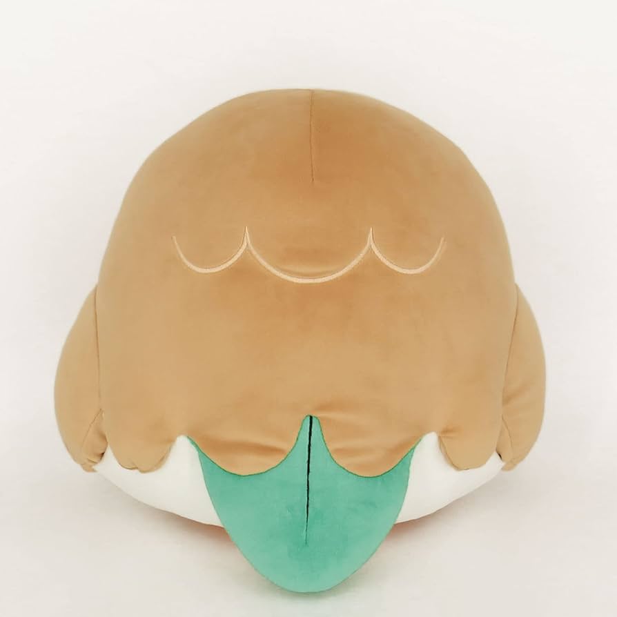 51fnJ1usl9L._AC_UF894,