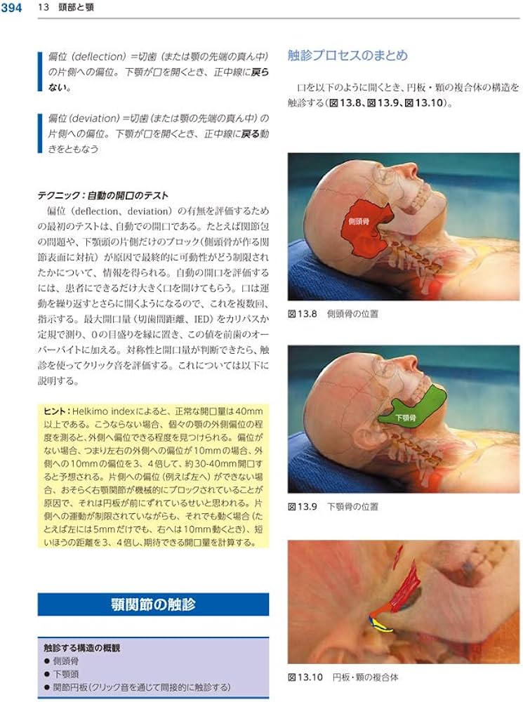 療法士のための体表解剖学 | ベルンハルト・ライヒャルト, 丸山 仁司
