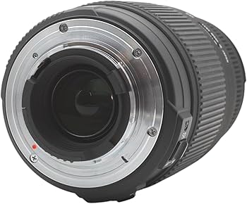 Amazon.co.jp: シグマ 70-300mm F4-5.6 DG OS ニコン用 70-300mm F4