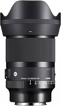 Amazon.com : Sigma 35mm F1.4 DG DN for L Mount : Electronics