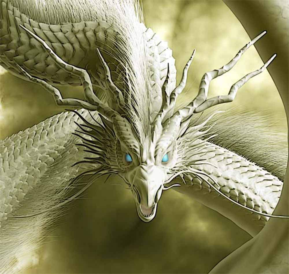 Amazon.co.jp: 龍の絵 「雲龍1、白龍」A4 竜の絵 : ホーム＆キッチン