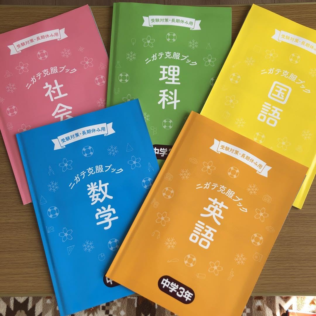 家庭教師ランナー教材 入試対策ゼミ 入試対策＆定期テスト対策⠀家庭教師