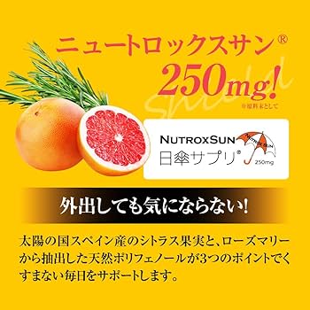 Amazon | finebase ファインベース インナーパラソル16200 美容対策