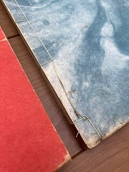 615UsQOgm-L._AC_UF350,