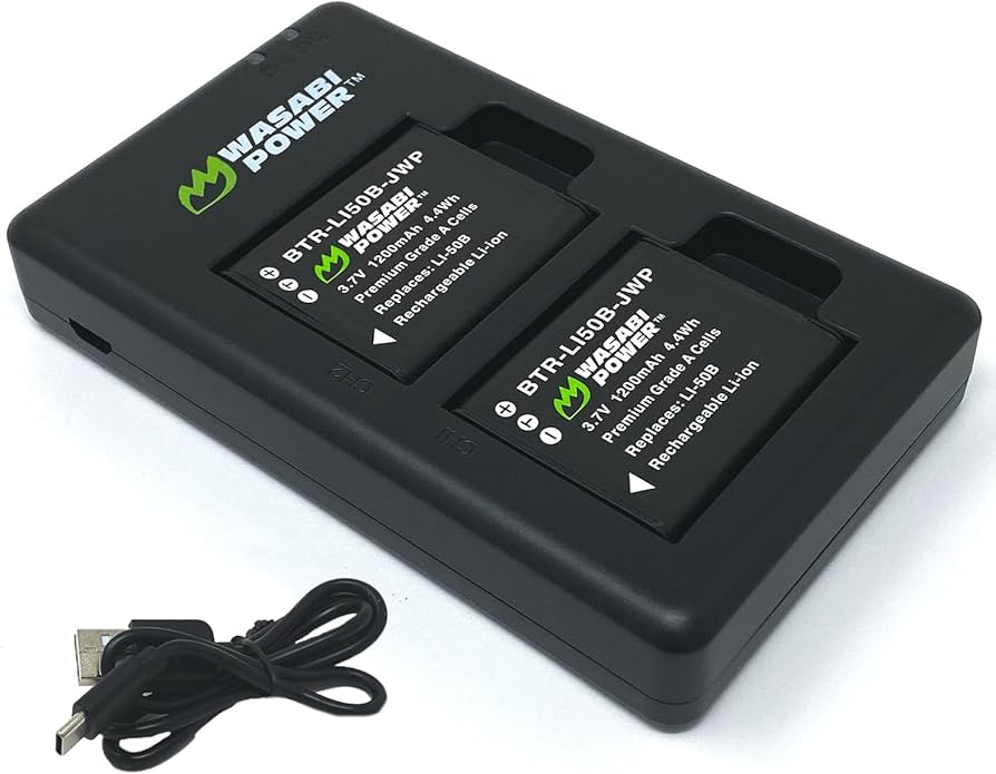 Amazon.com: Wasabi Power Battery (2-Pack) and USB-C Charger for